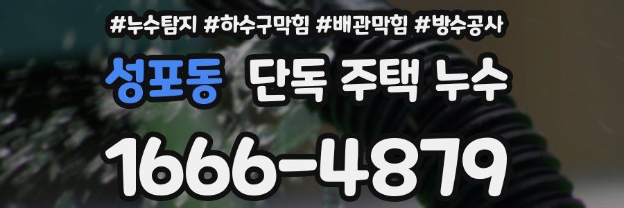 성포동 단독 주택 누수