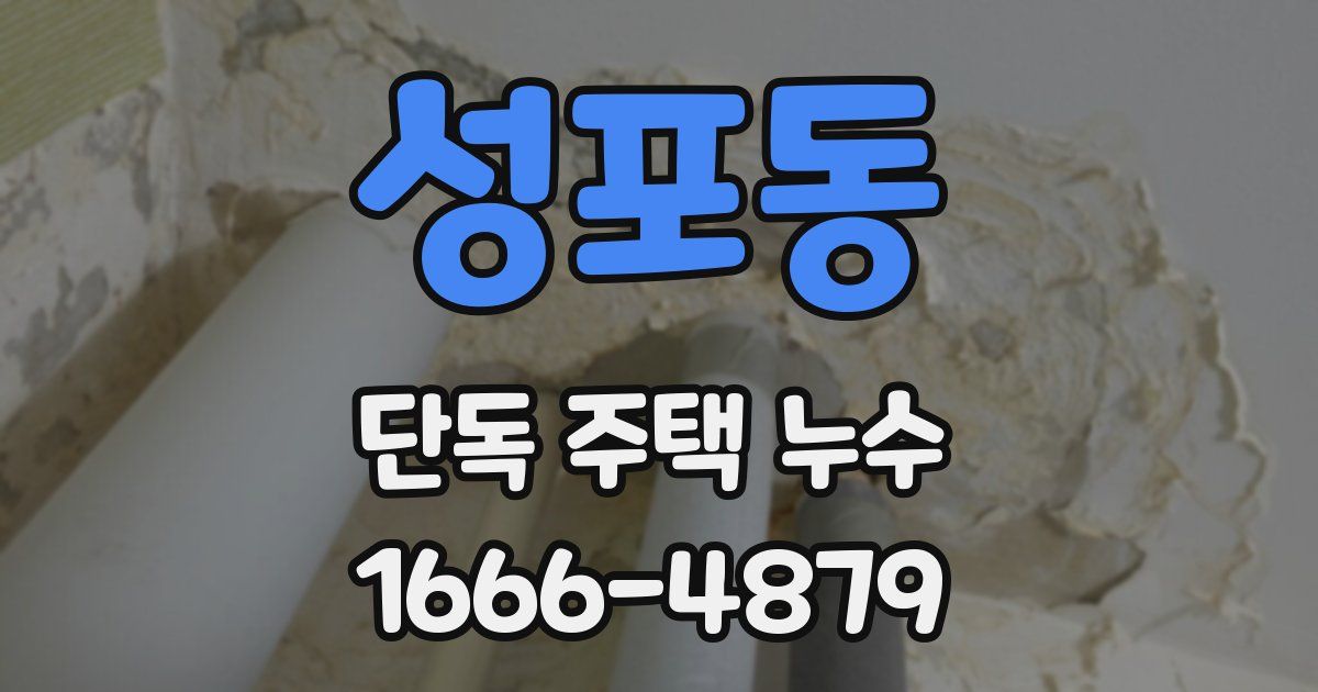 성포동 단독 주택 누수