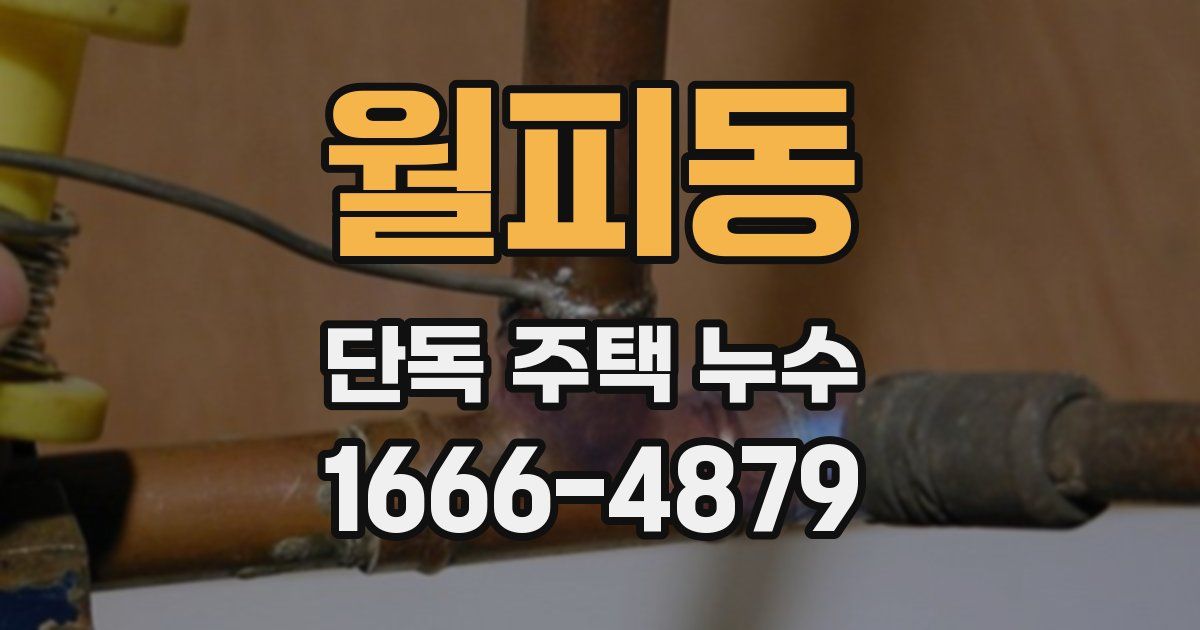 월피동 단독 주택 누수