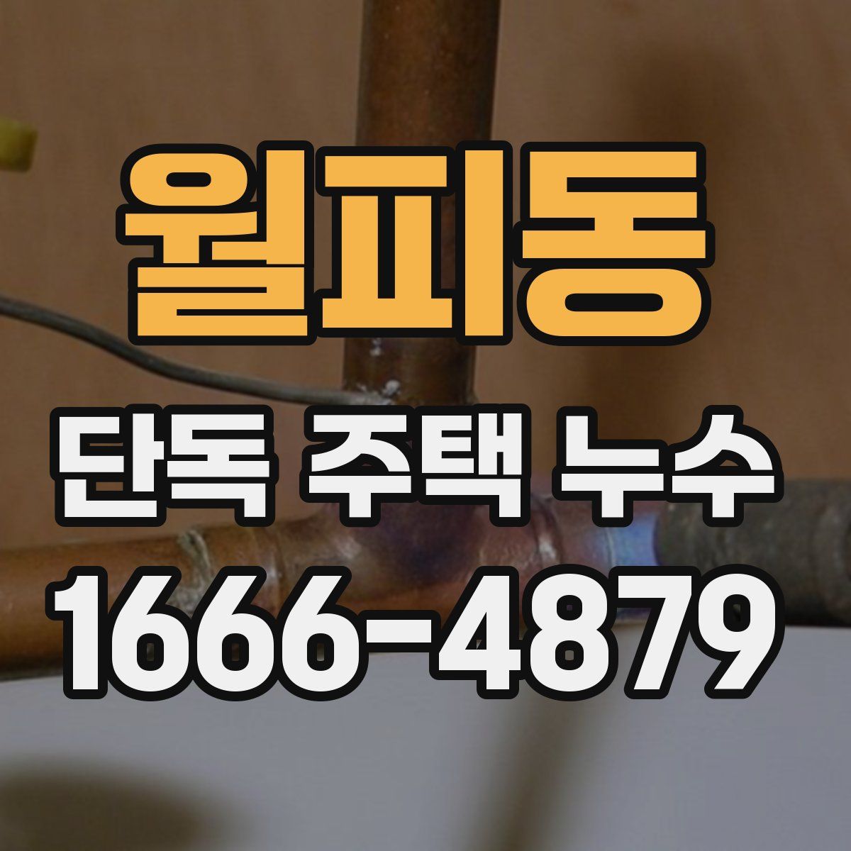 월피동 단독 주택 누수