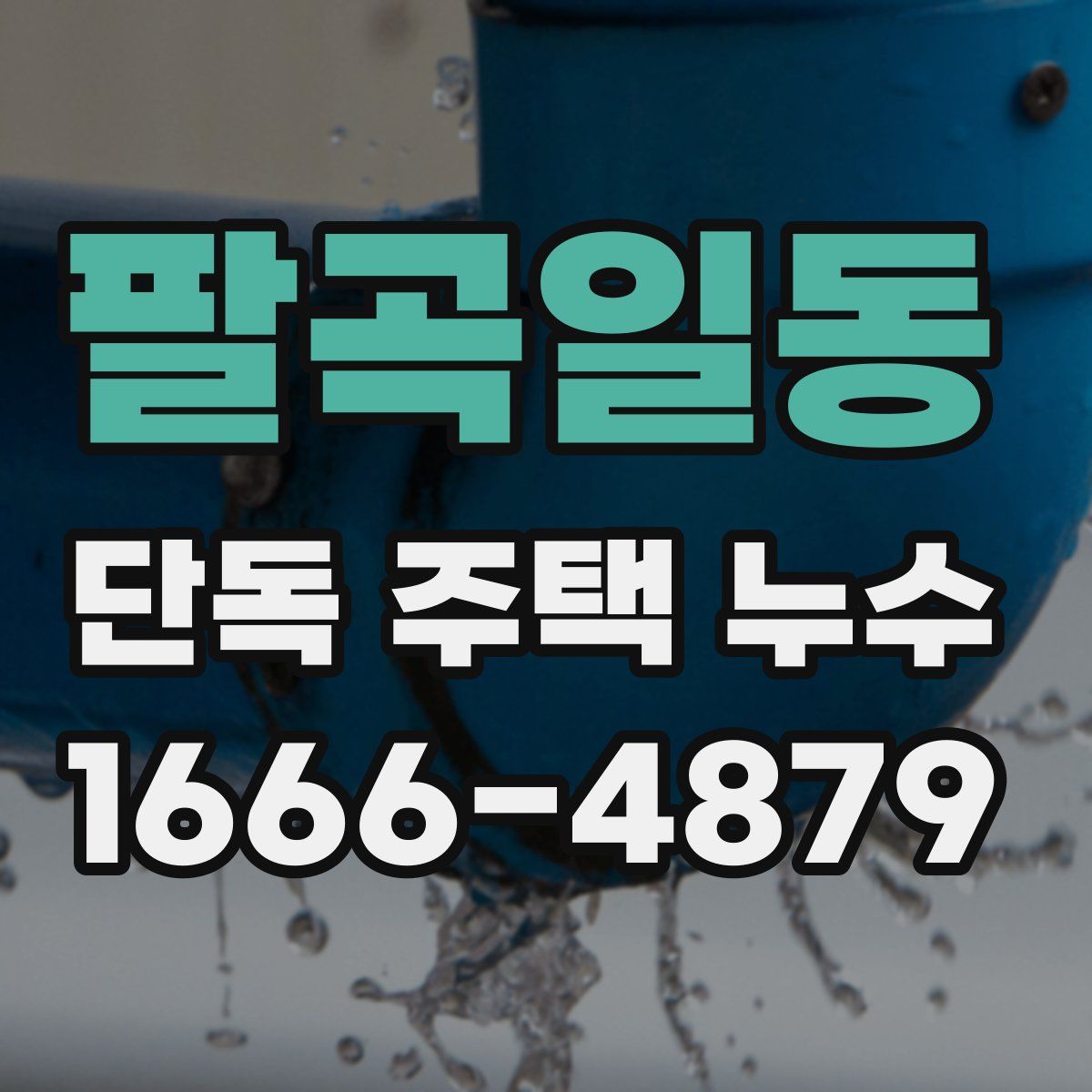 팔곡일동 단독 주택 누수