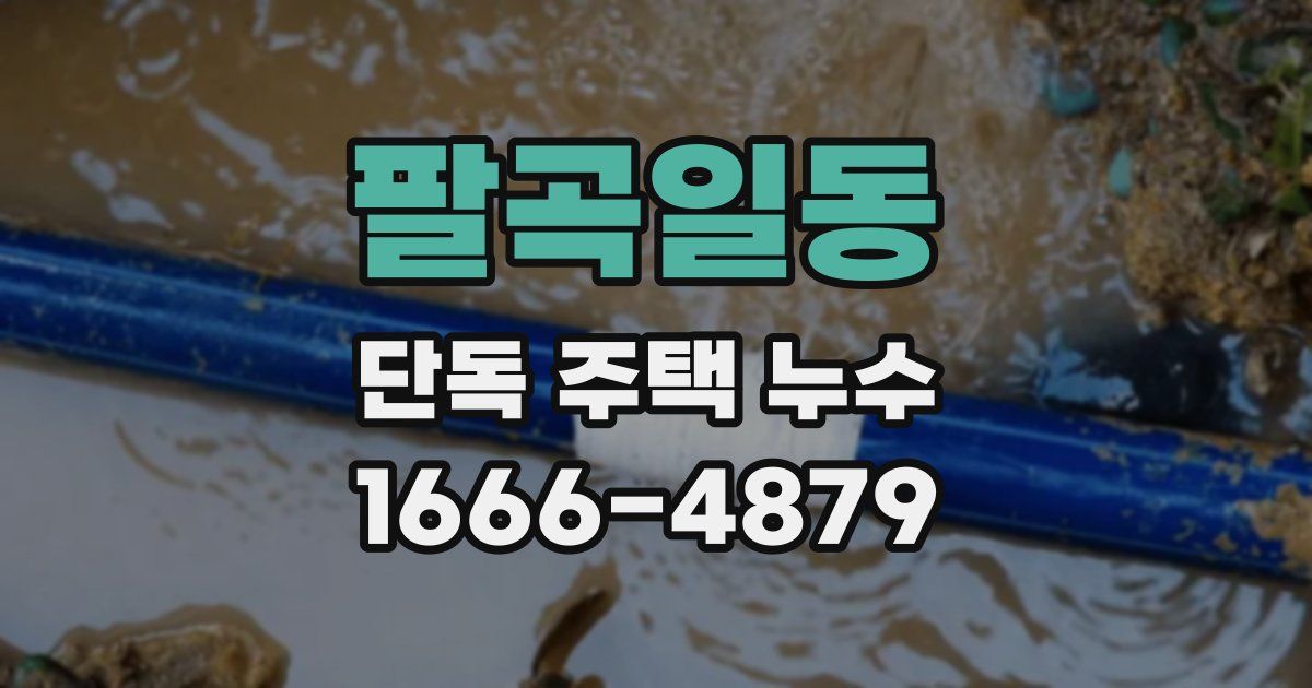 팔곡일동 단독 주택 누수
