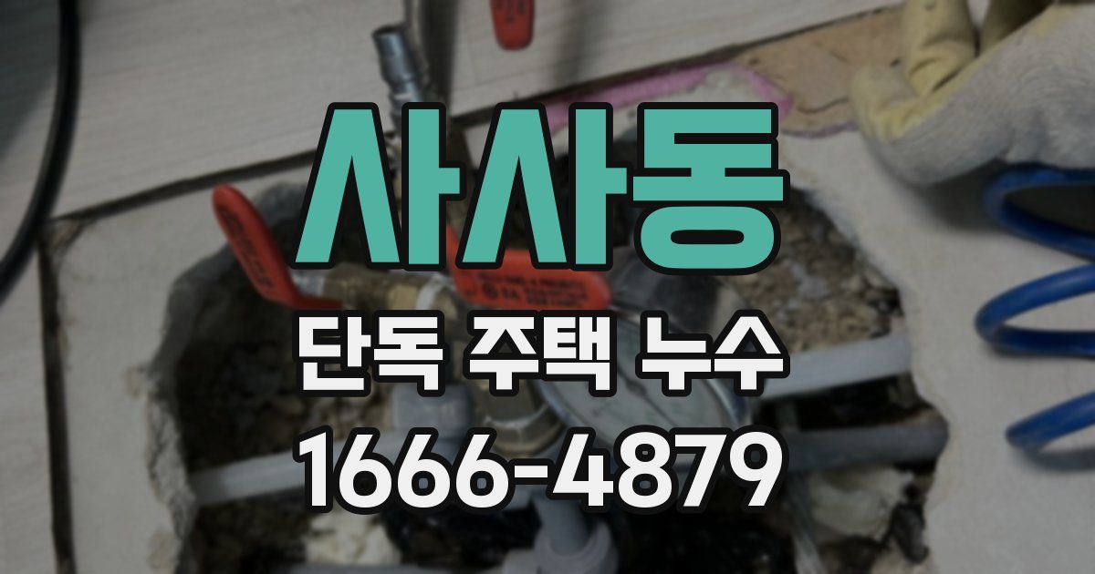 사사동 단독 주택 누수