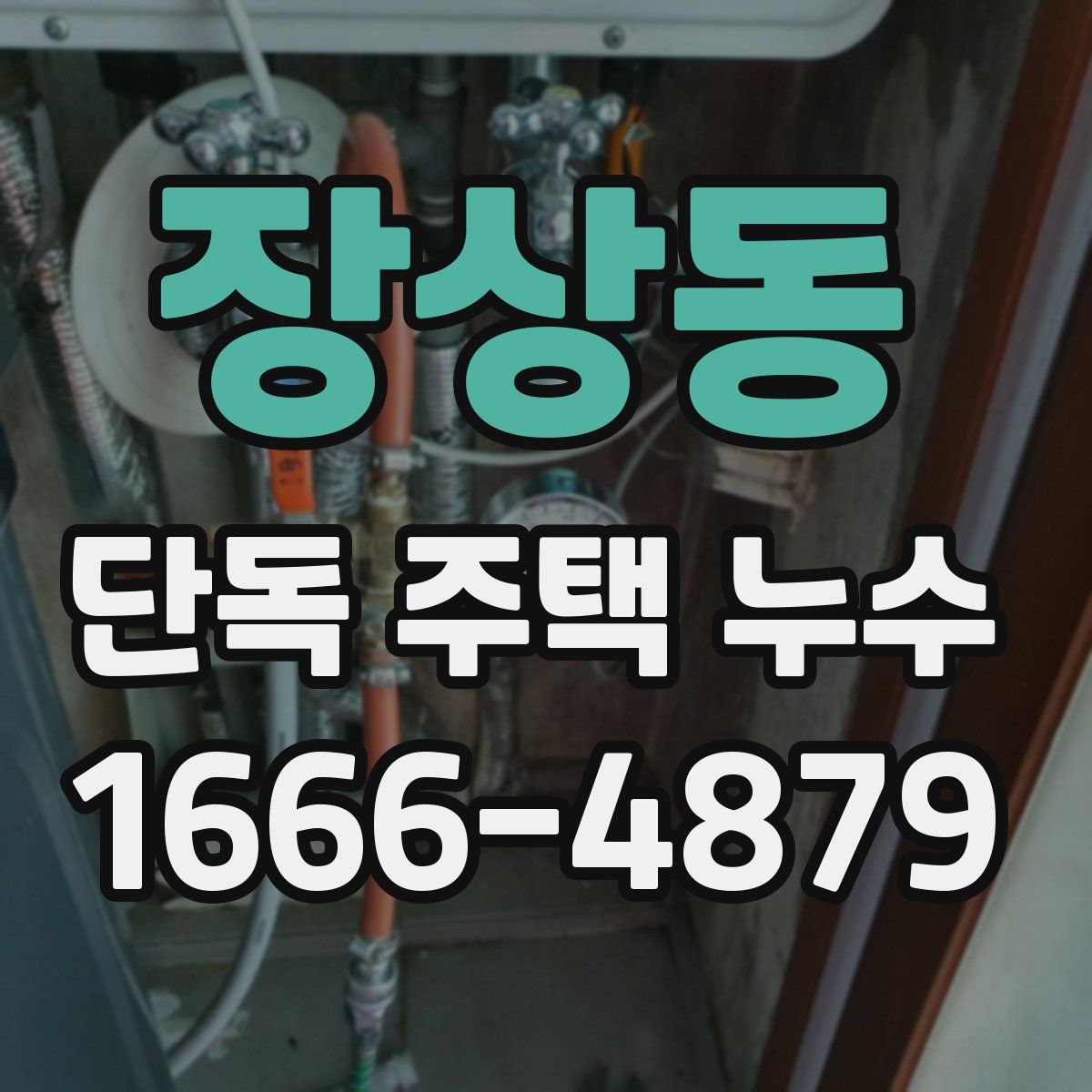 장상동 단독 주택 누수