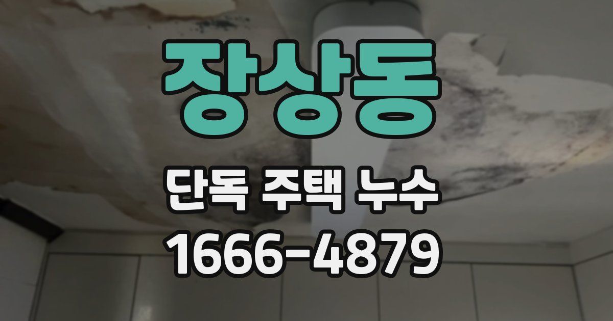 장상동 단독 주택 누수