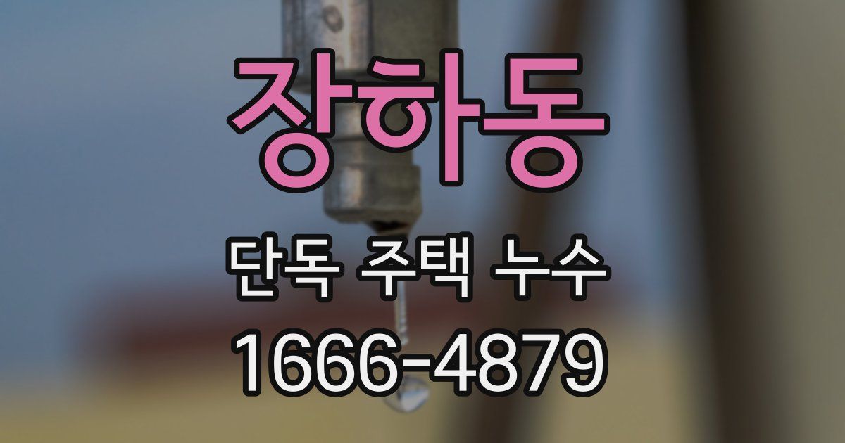 장하동 단독 주택 누수