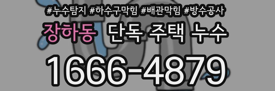 장하동 단독 주택 누수