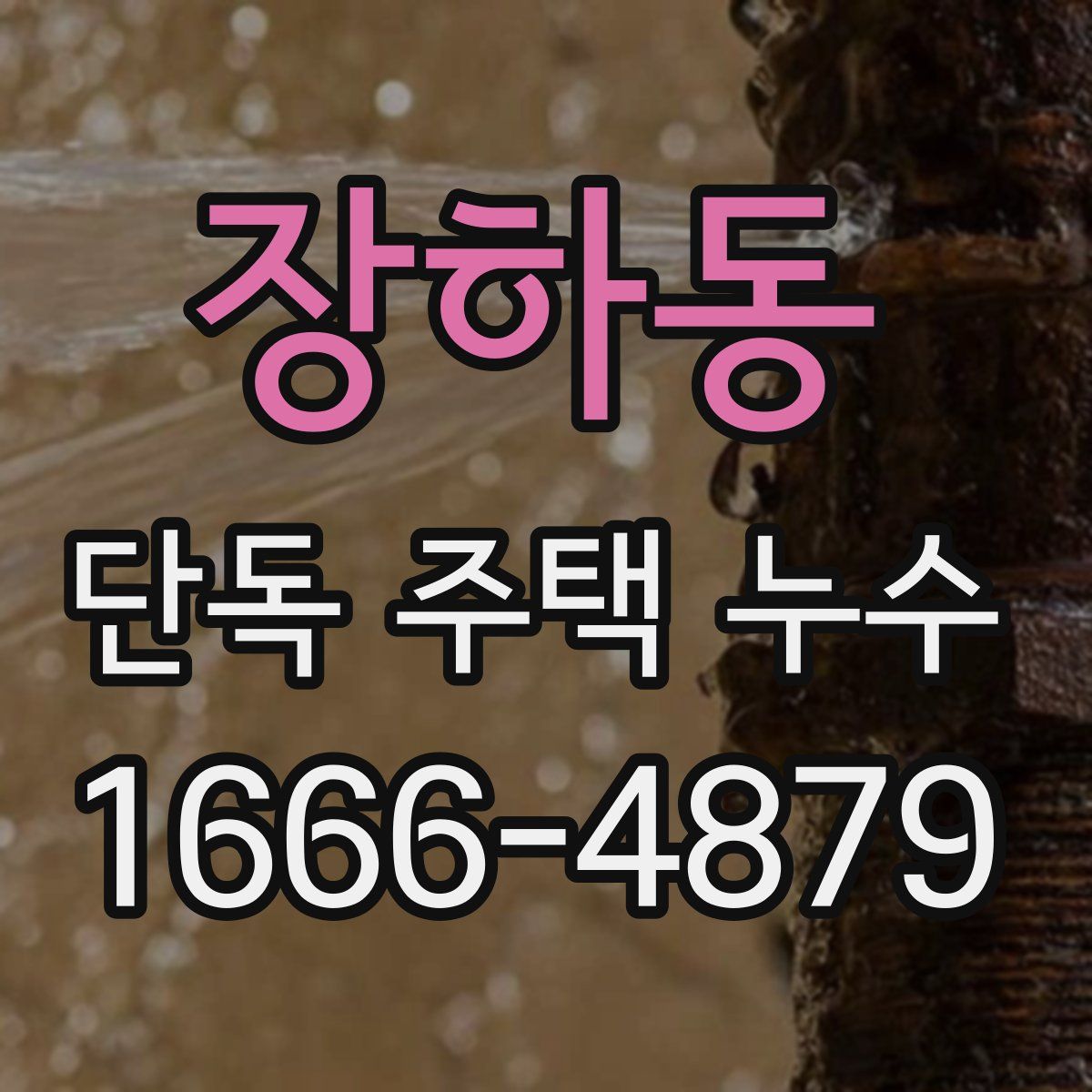 장하동 단독 주택 누수