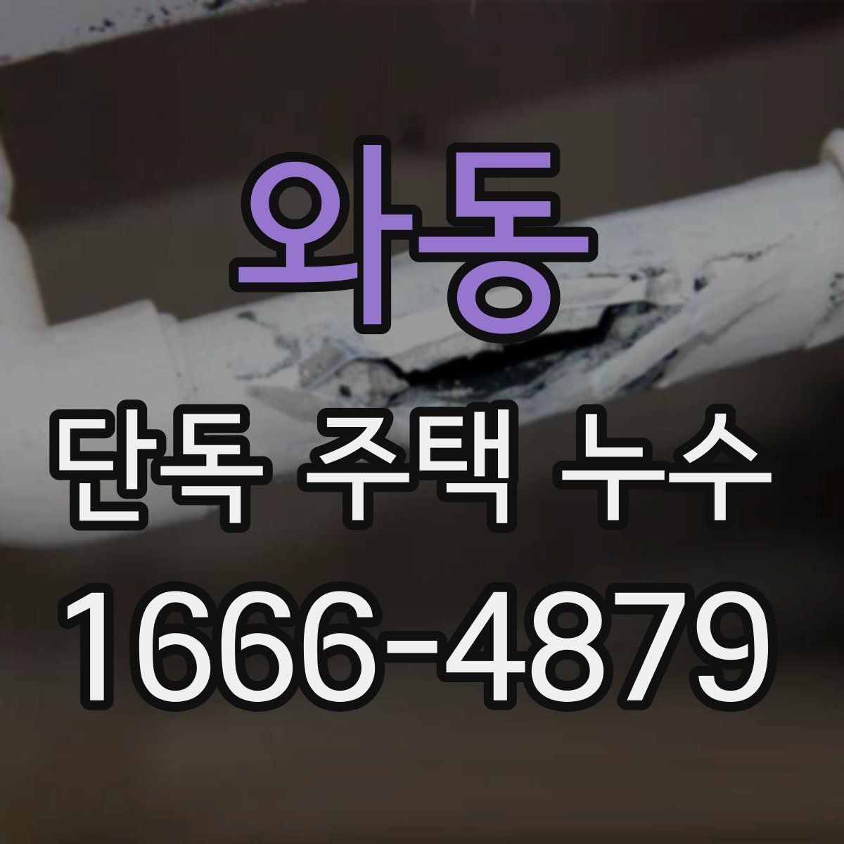 와동 단독 주택 누수