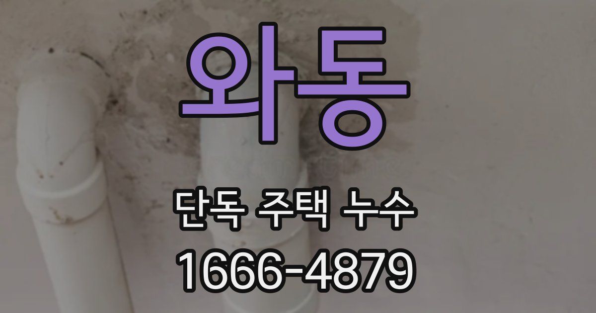 와동 단독 주택 누수