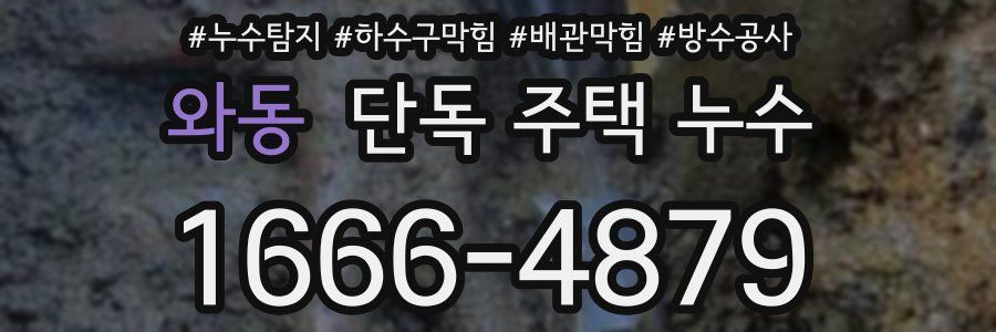 와동 단독 주택 누수