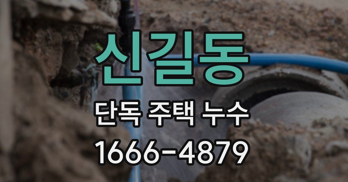 신길동 단독 주택 누수