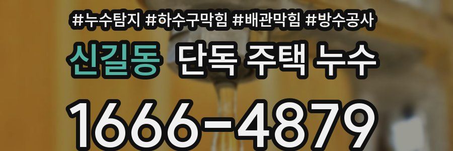 신길동 단독 주택 누수
