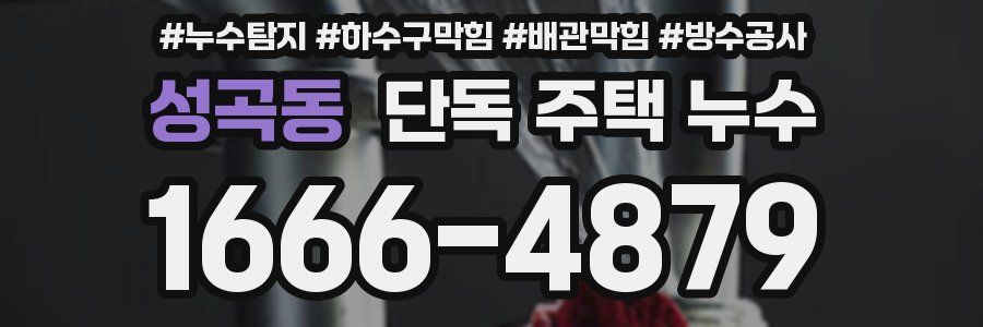 성곡동 단독 주택 누수