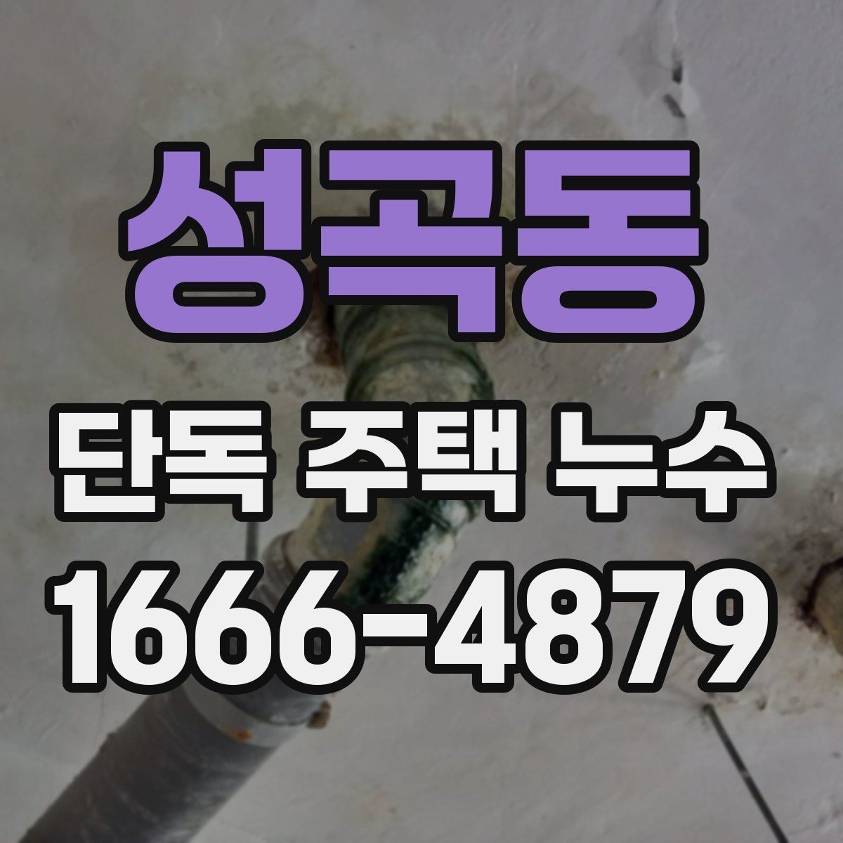 성곡동 단독 주택 누수