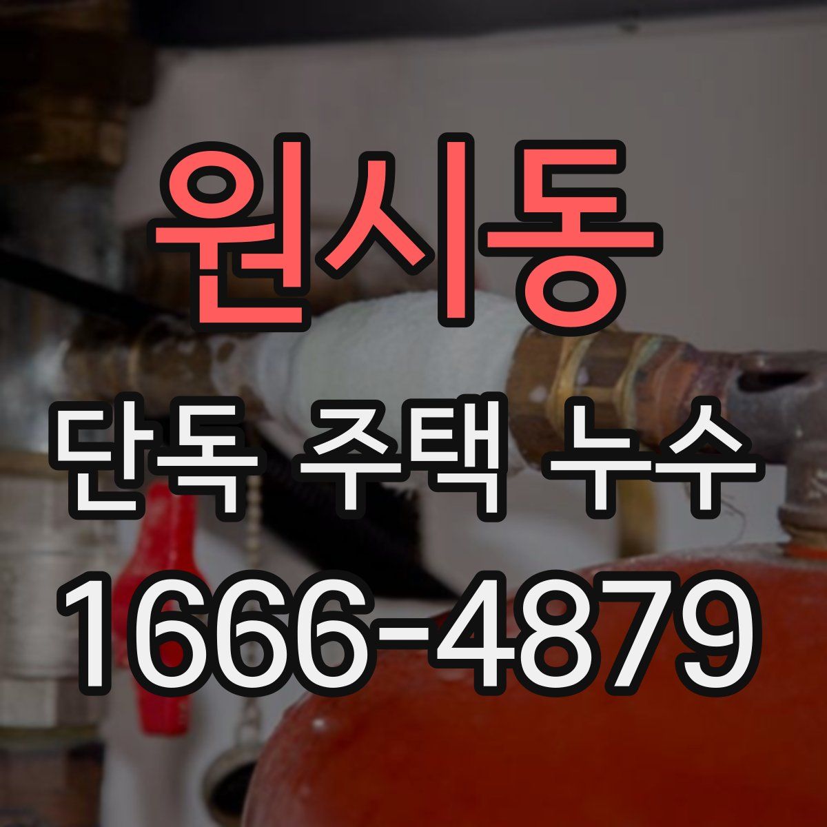 원시동 단독 주택 누수