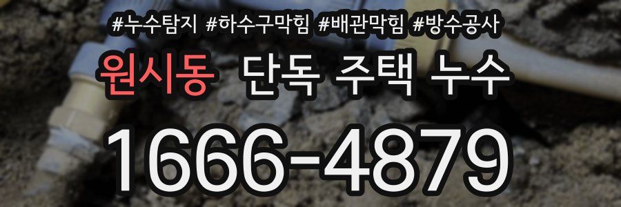 원시동 단독 주택 누수