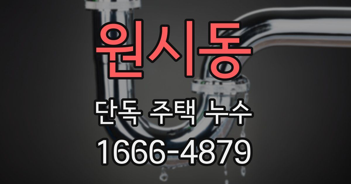 원시동 단독 주택 누수