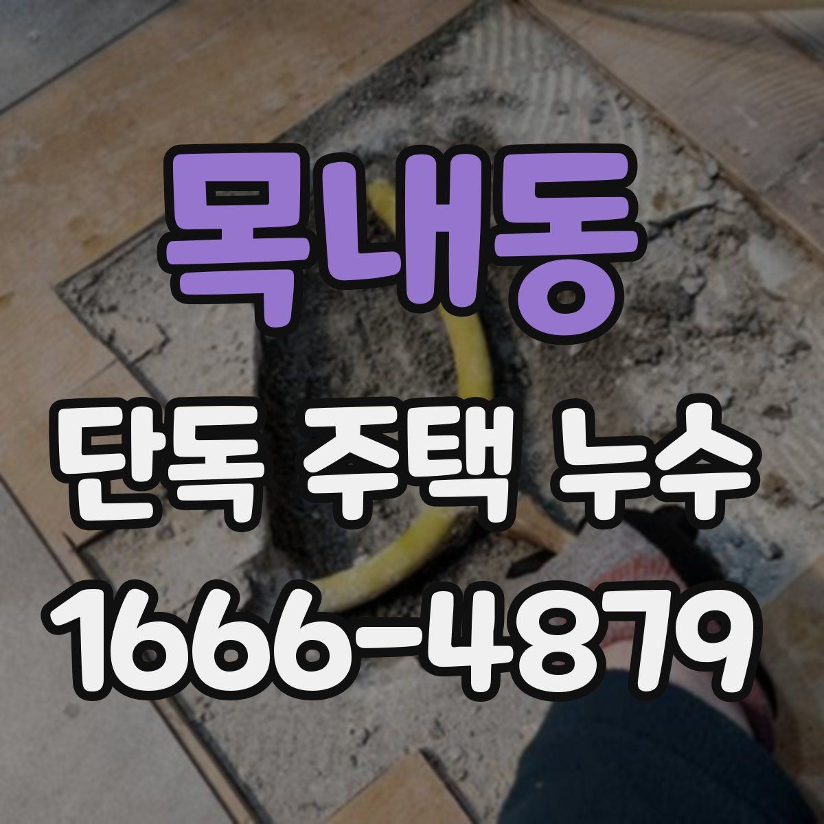 목내동 단독 주택 누수