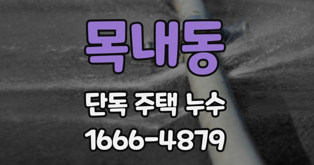 목내동 단독 주택 누수