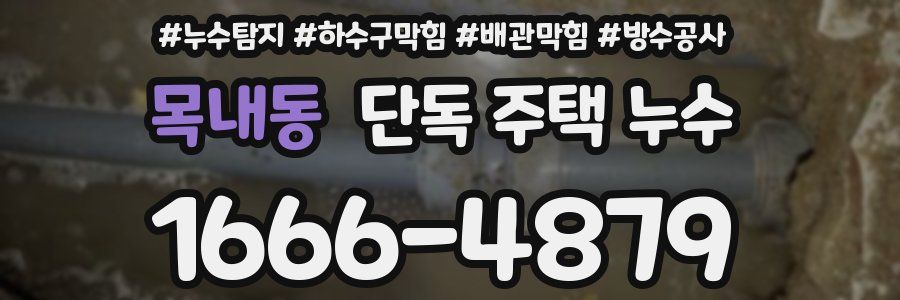 목내동 단독 주택 누수