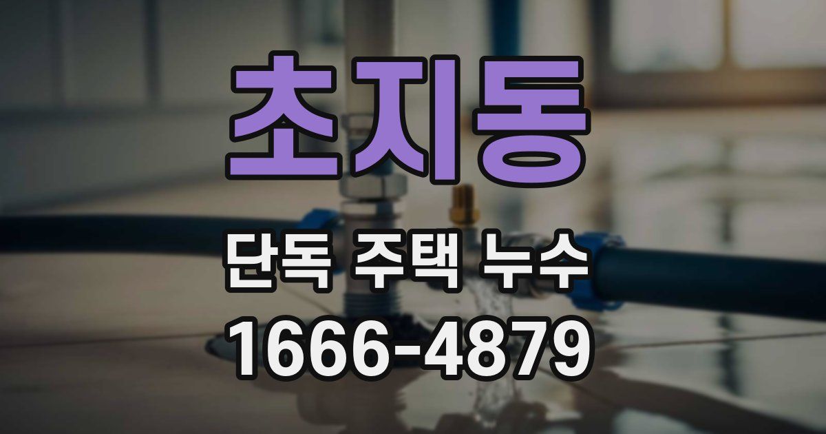 초지동 단독 주택 누수