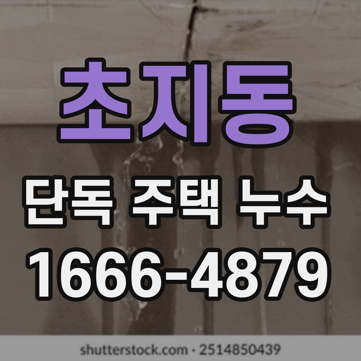 초지동 단독 주택 누수