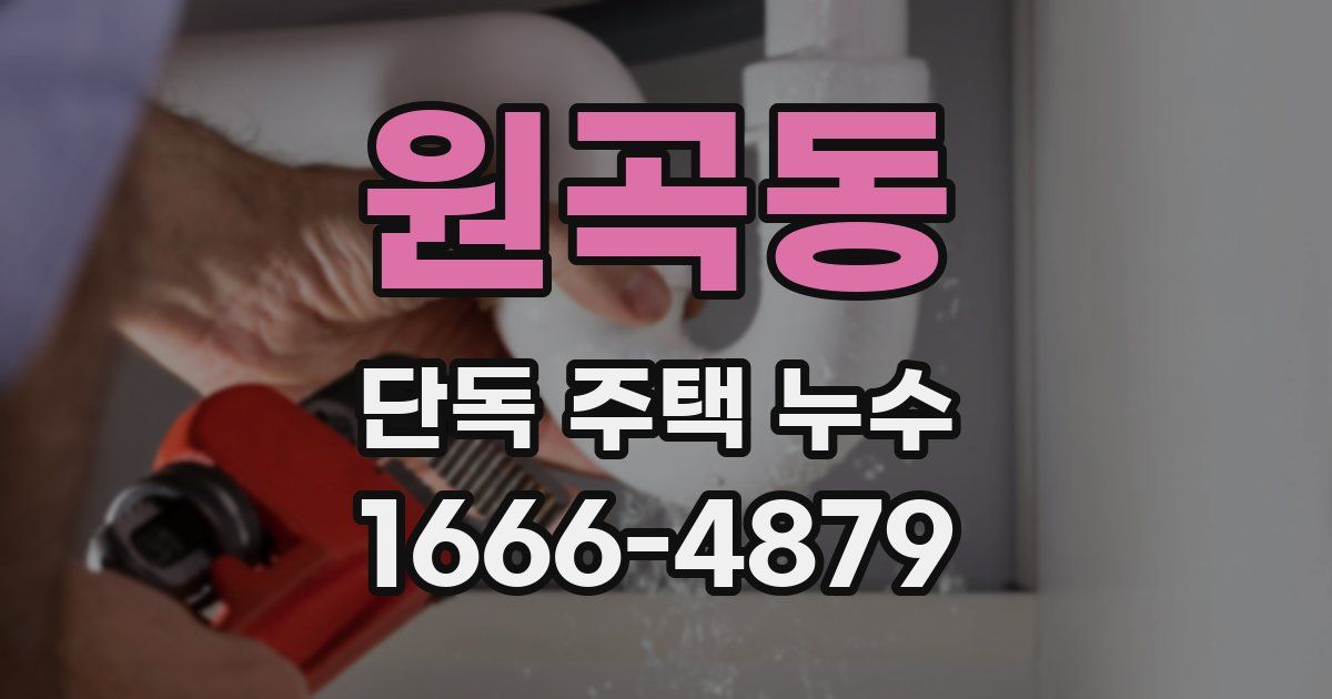 원곡동 단독 주택 누수