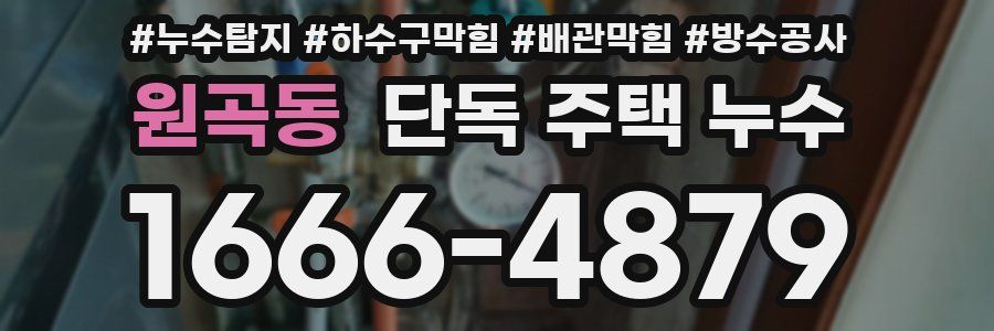 원곡동 단독 주택 누수