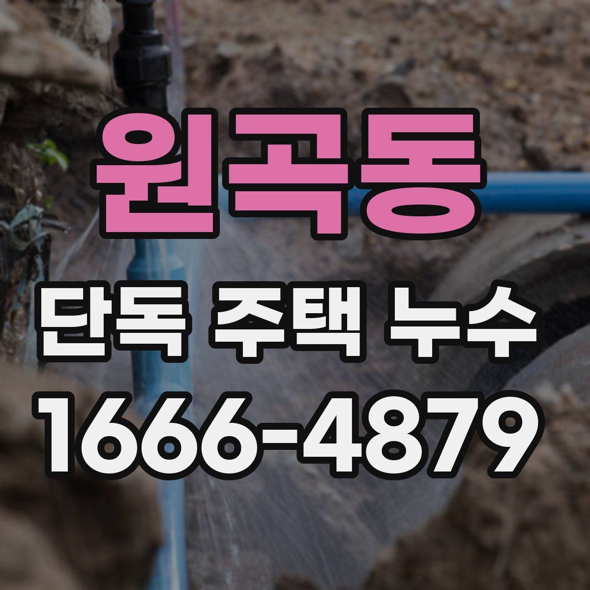원곡동 단독 주택 누수