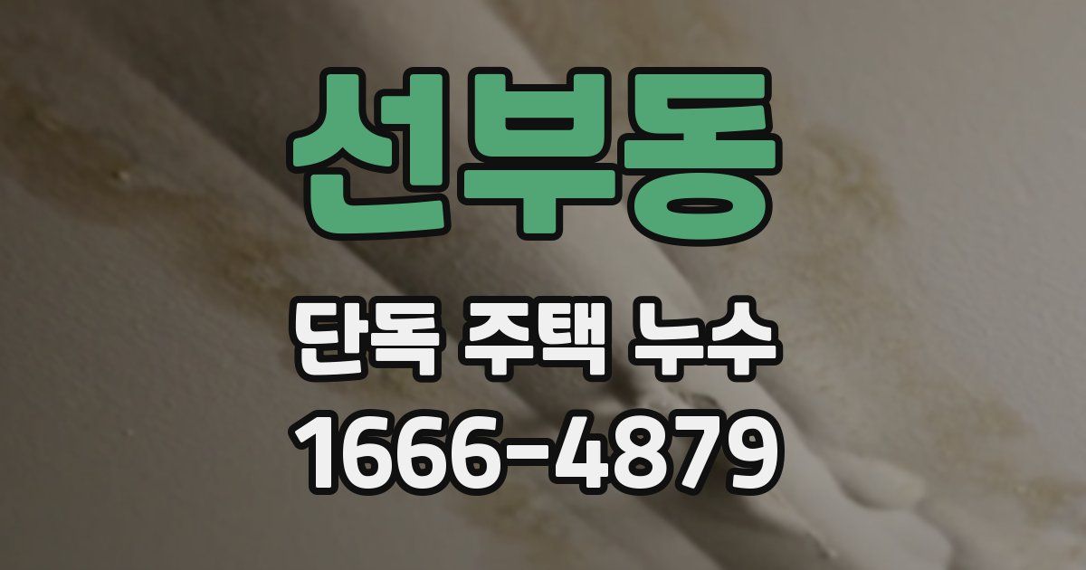 선부동 단독 주택 누수