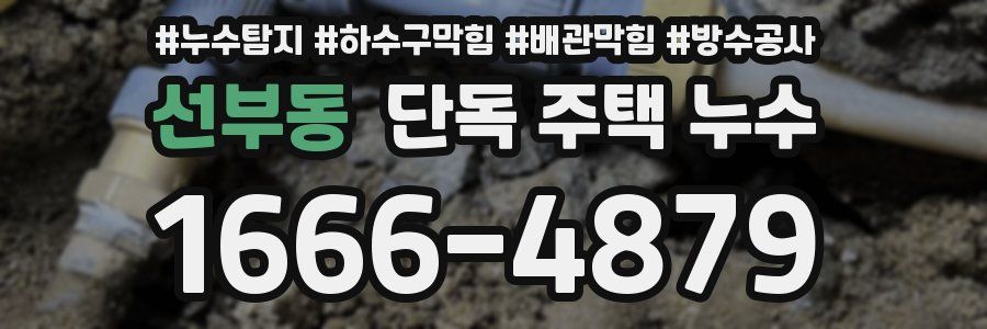 선부동 단독 주택 누수