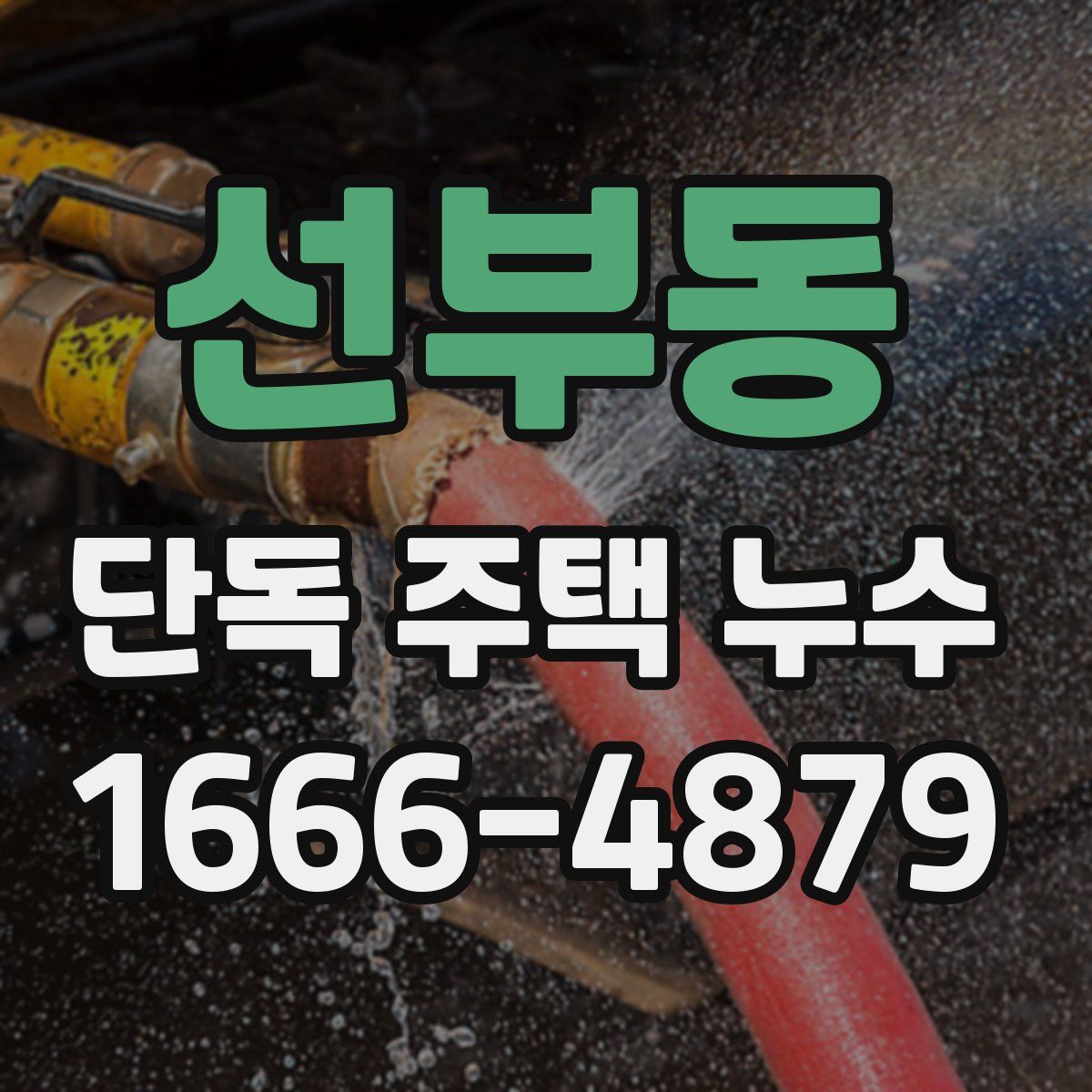선부동 단독 주택 누수