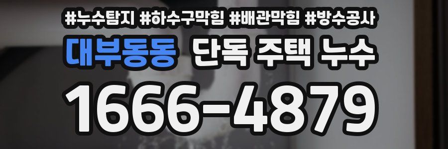 대부동동 단독 주택 누수