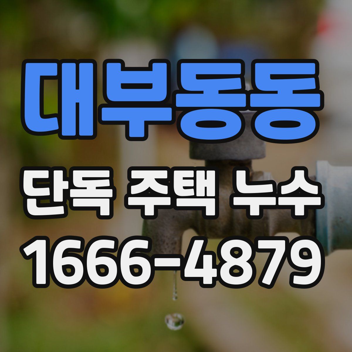 대부동동 단독 주택 누수