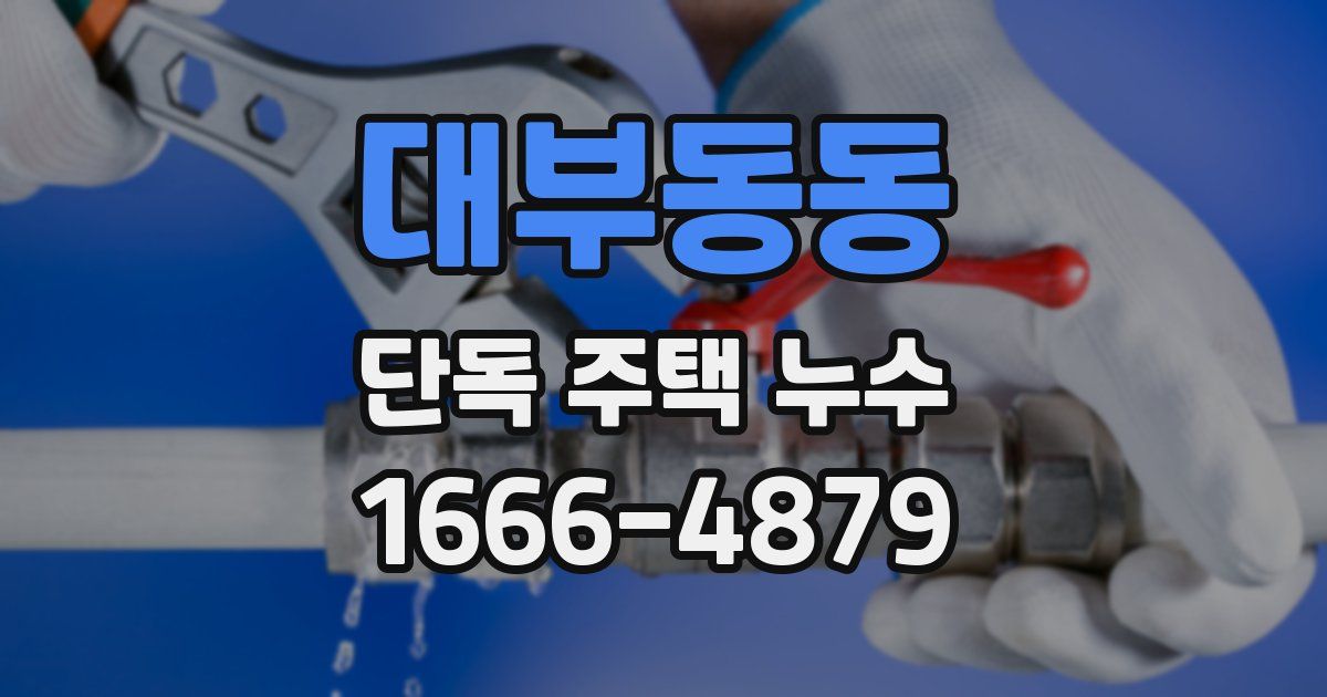 대부동동 단독 주택 누수