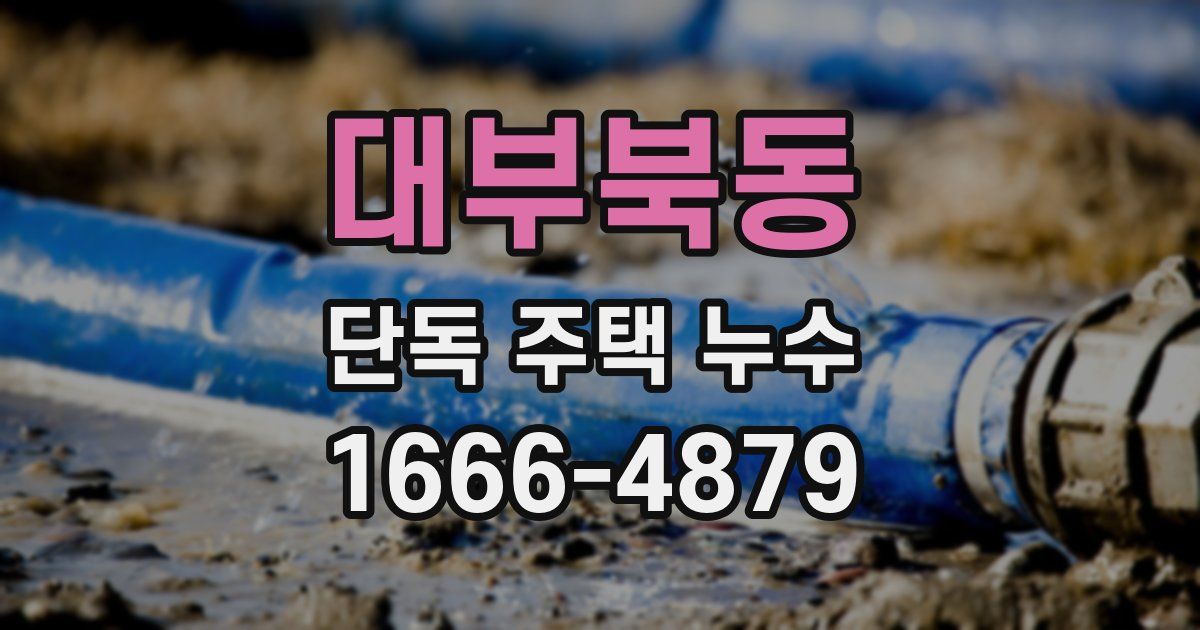 대부북동 단독 주택 누수