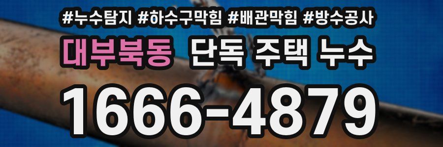 대부북동 단독 주택 누수