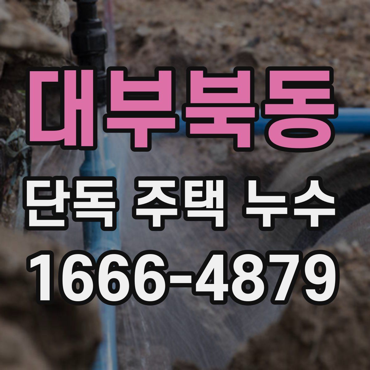 대부북동 단독 주택 누수