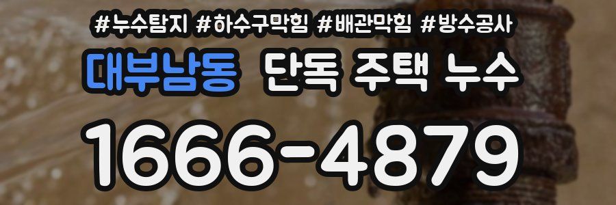 대부남동 단독 주택 누수