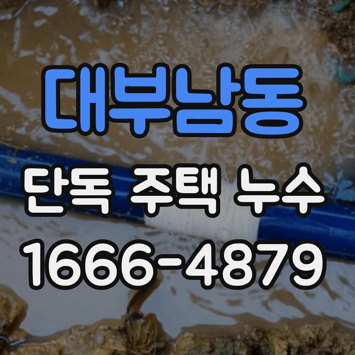 대부남동 단독 주택 누수