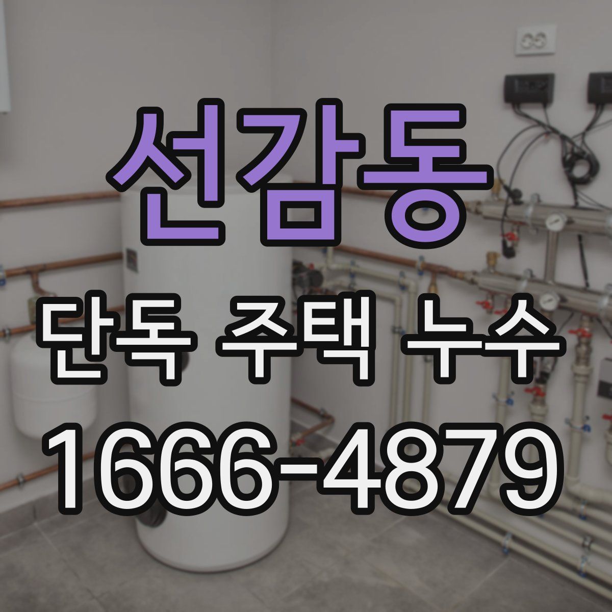선감동 단독 주택 누수
