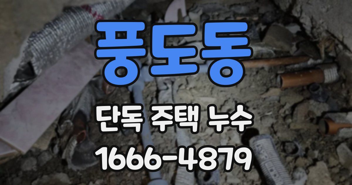 풍도동 단독 주택 누수