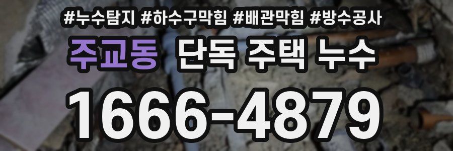 주교동 단독 주택 누수