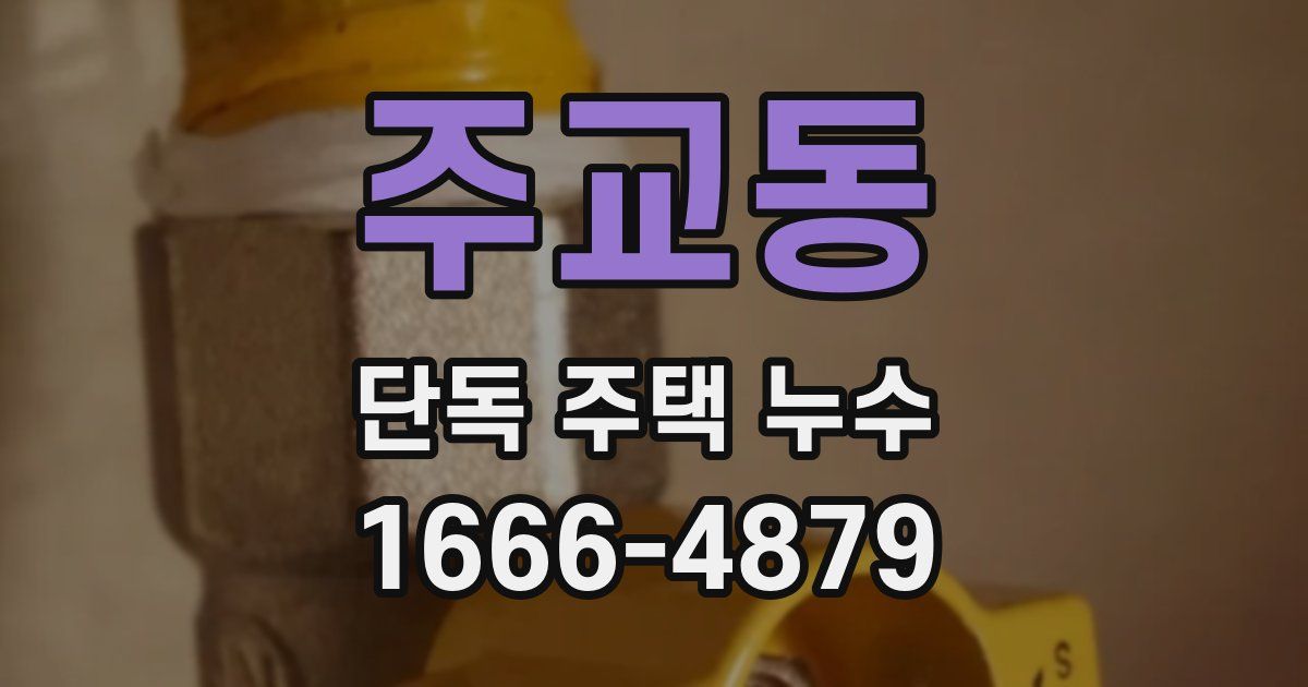 주교동 단독 주택 누수
