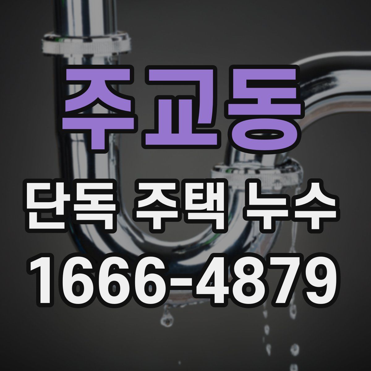 주교동 단독 주택 누수