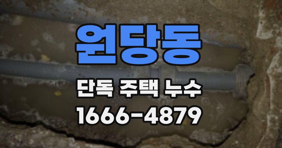 원당동 단독 주택 누수