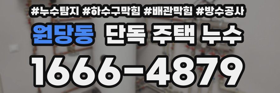 원당동 단독 주택 누수