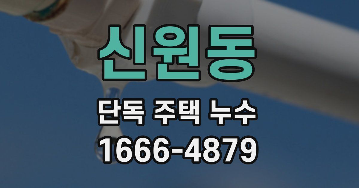 신원동 단독 주택 누수