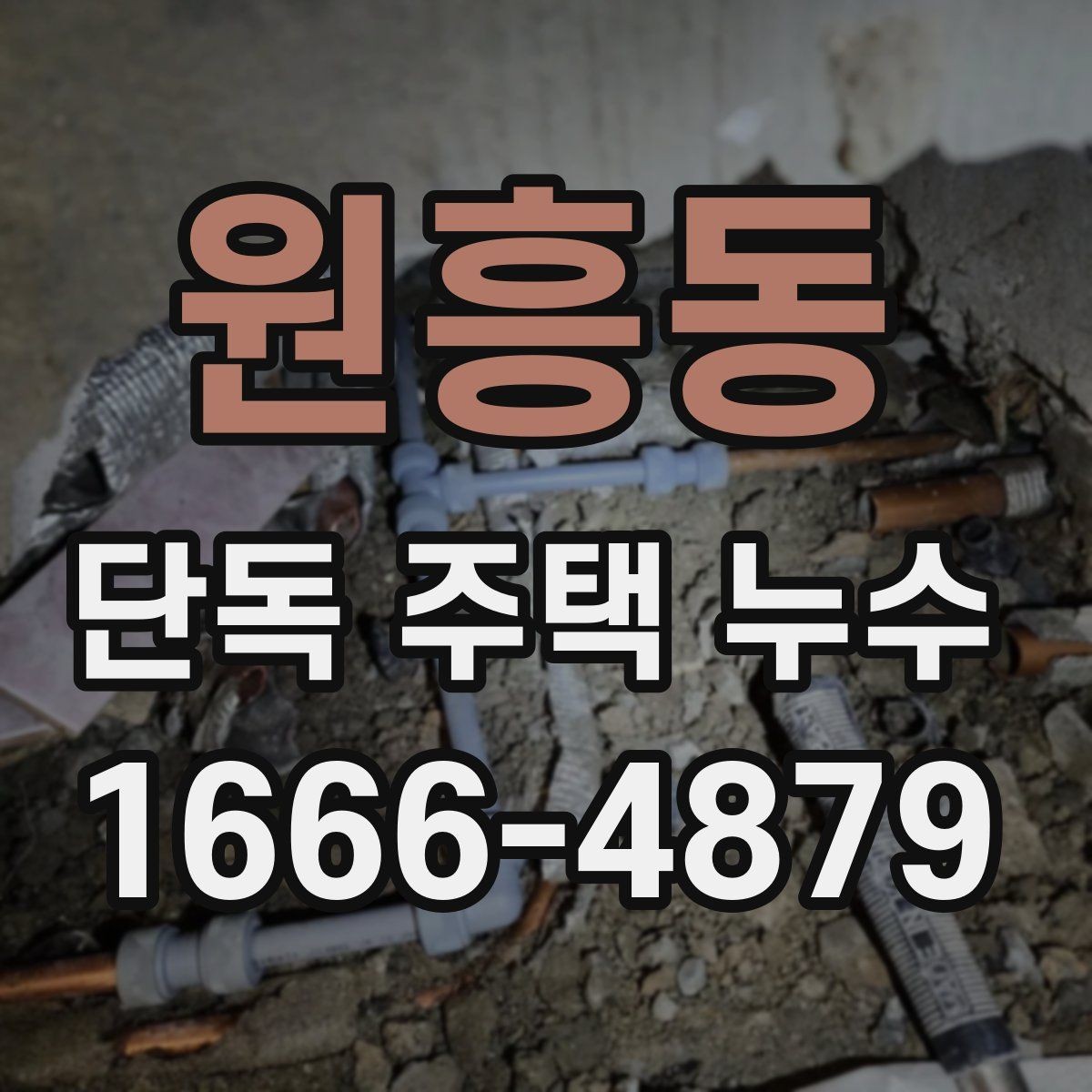 원흥동 단독 주택 누수 실측 전 확인할 사항